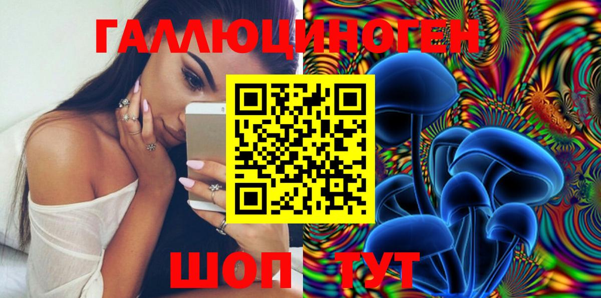 Димитровград  Псилоцибиновые грибы Psilocybine cubensis  как найти закладки  Вход с VPN 